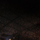 DSC03671