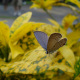DSC00482