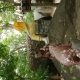 DSC00150