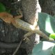 DSC00149