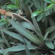DSC00146