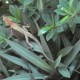 DSC00145