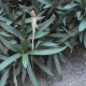 DSC00144