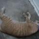 DSC00130