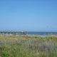 DSC03304