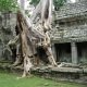 DSC00795