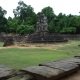 DSC00804