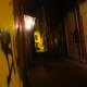 DSC01686