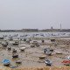 IMG_2114