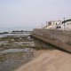 IMG_2117