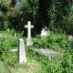 DSC03251
