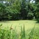 DSC03265