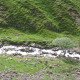IMG_1102
