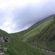 IMG_1103