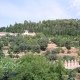 IMG_2066