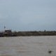 DSC00992