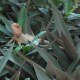 DSC00148