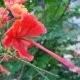 DSC00225
