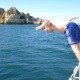 DSC02514