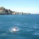 DSC02517