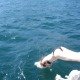DSC02518