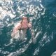 DSC02520