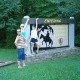 DSC03567