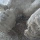 DSC02663