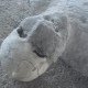 DSC02664