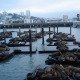 DSC04003
