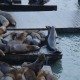 DSC04006