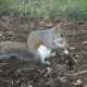 DSC03196